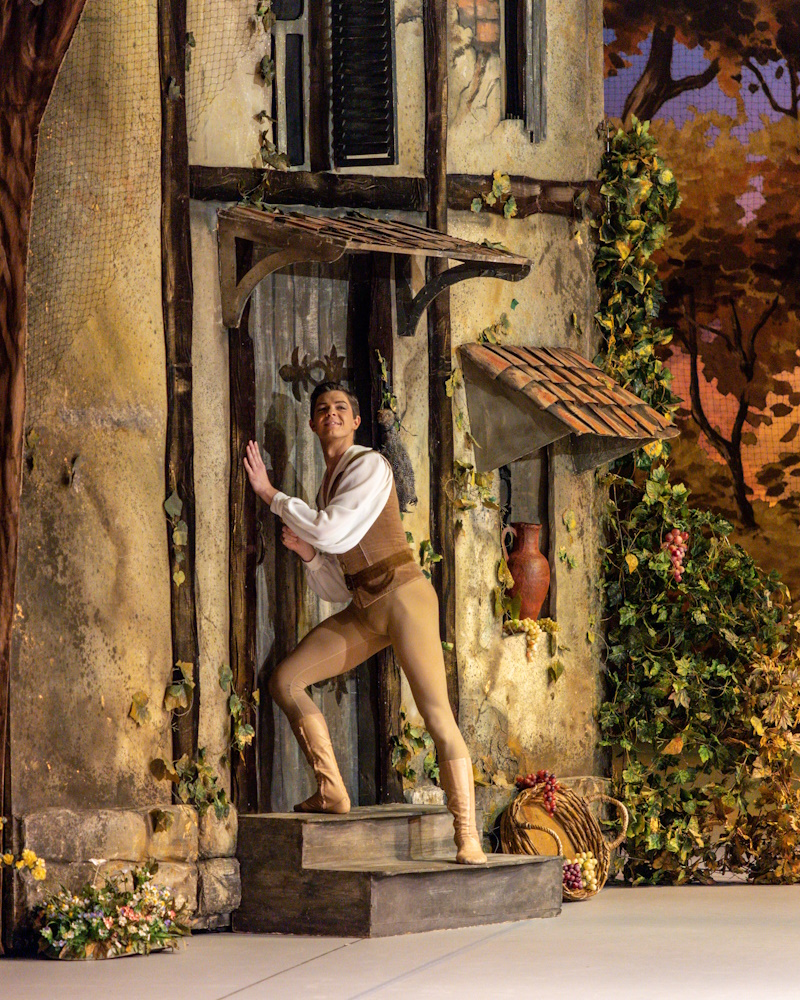 Жизель, или Вилисы – афиша