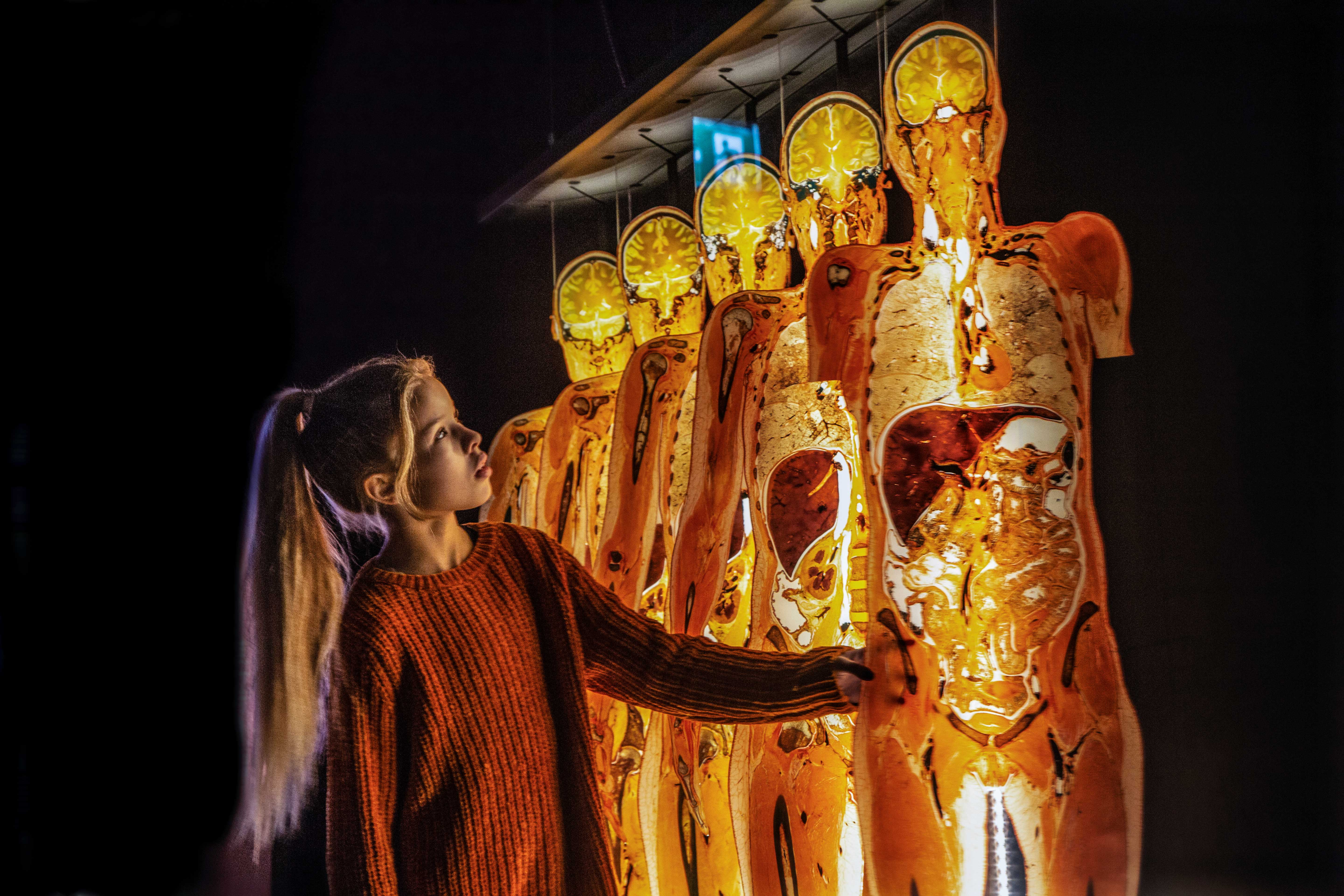 В Москве пройдет анатомическая выставка Body Worlds | Афиша – новости