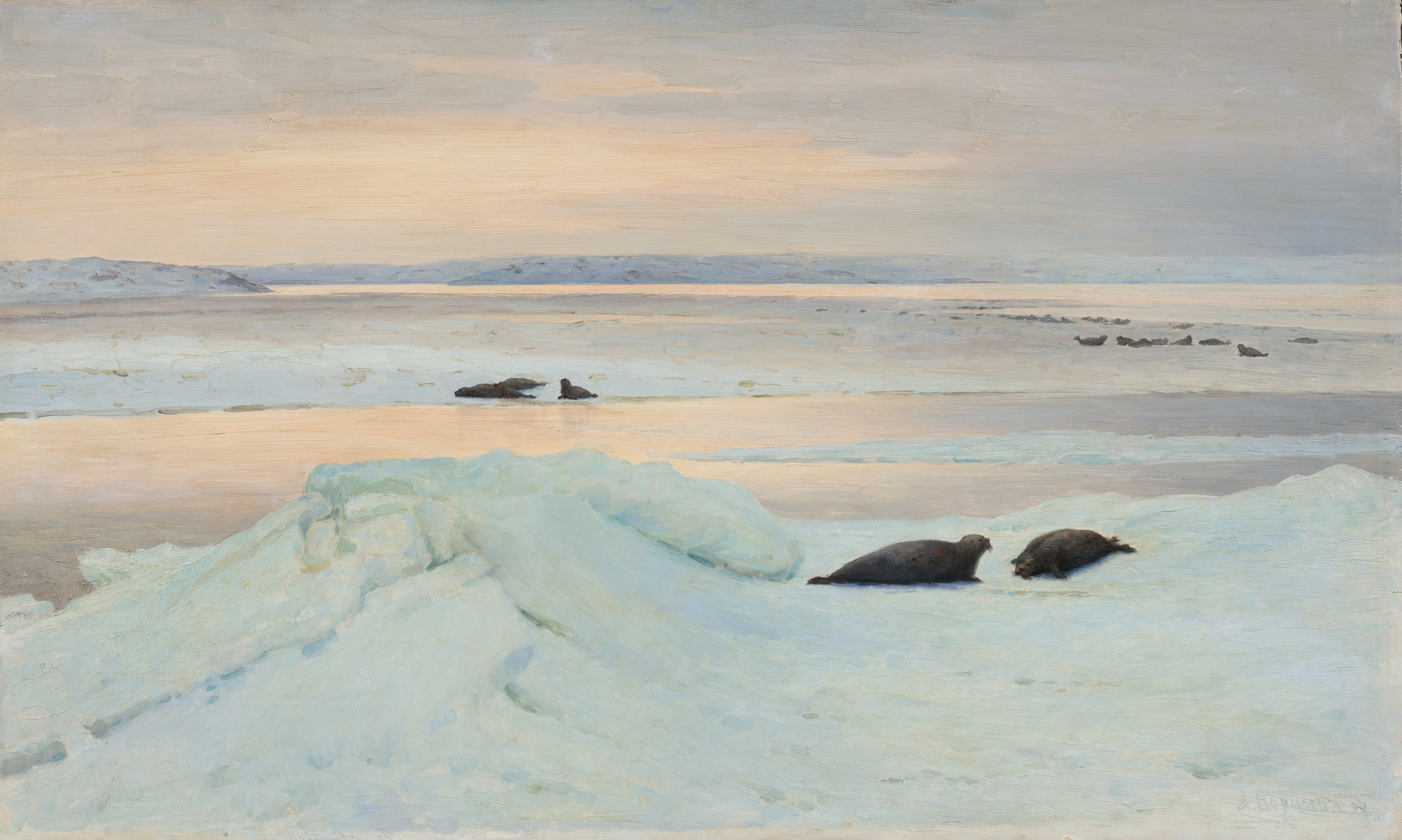 Арктика. Полюс цвета – афиша