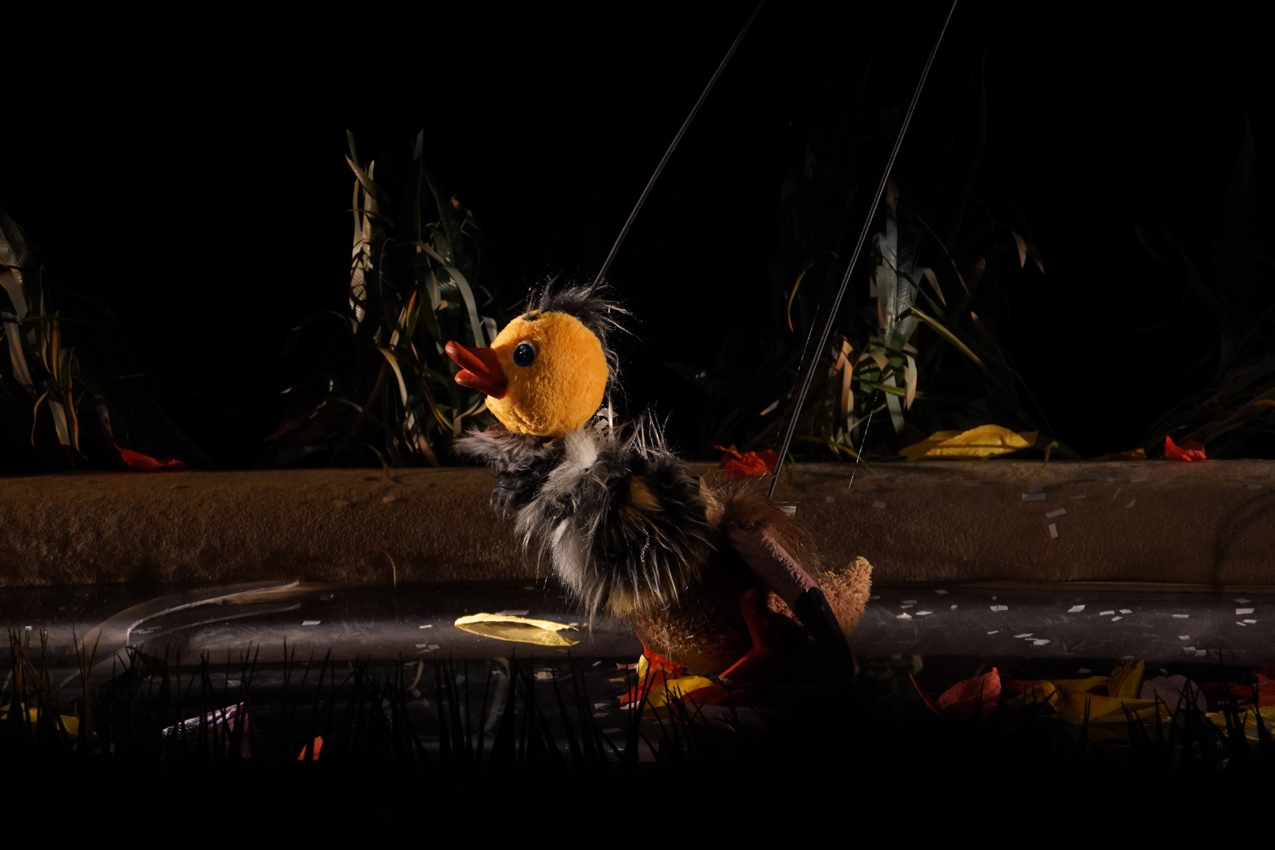 Серая шейка – афиша