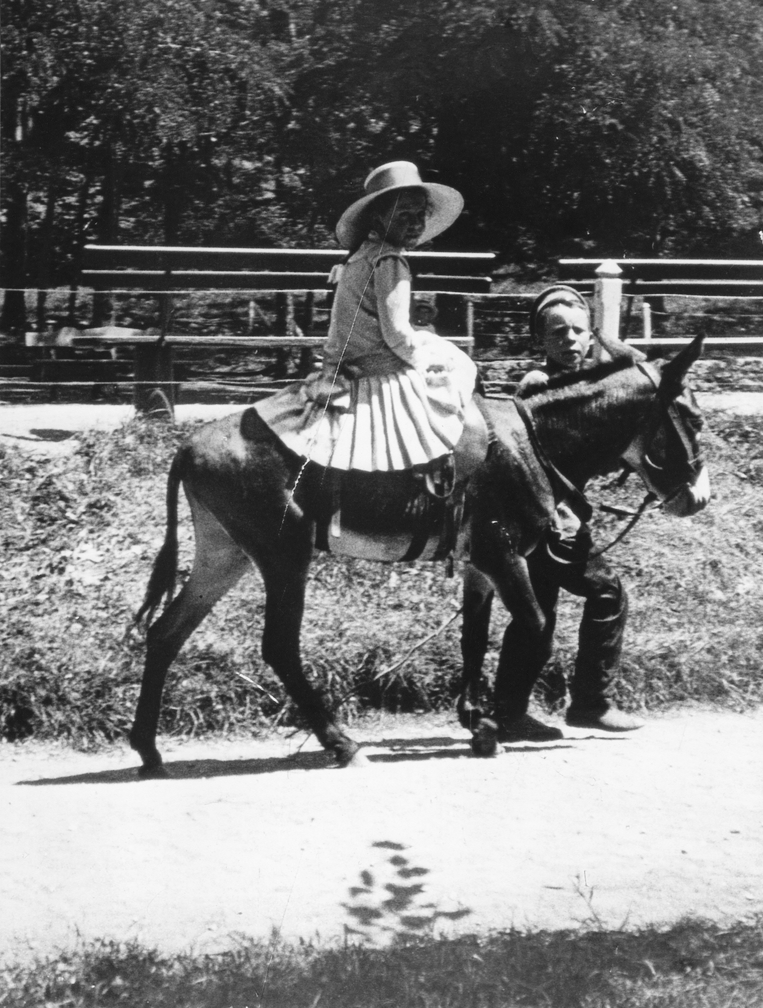 За страницами семейного альбома: к 175-летию купца В.Д. Носова – афиша