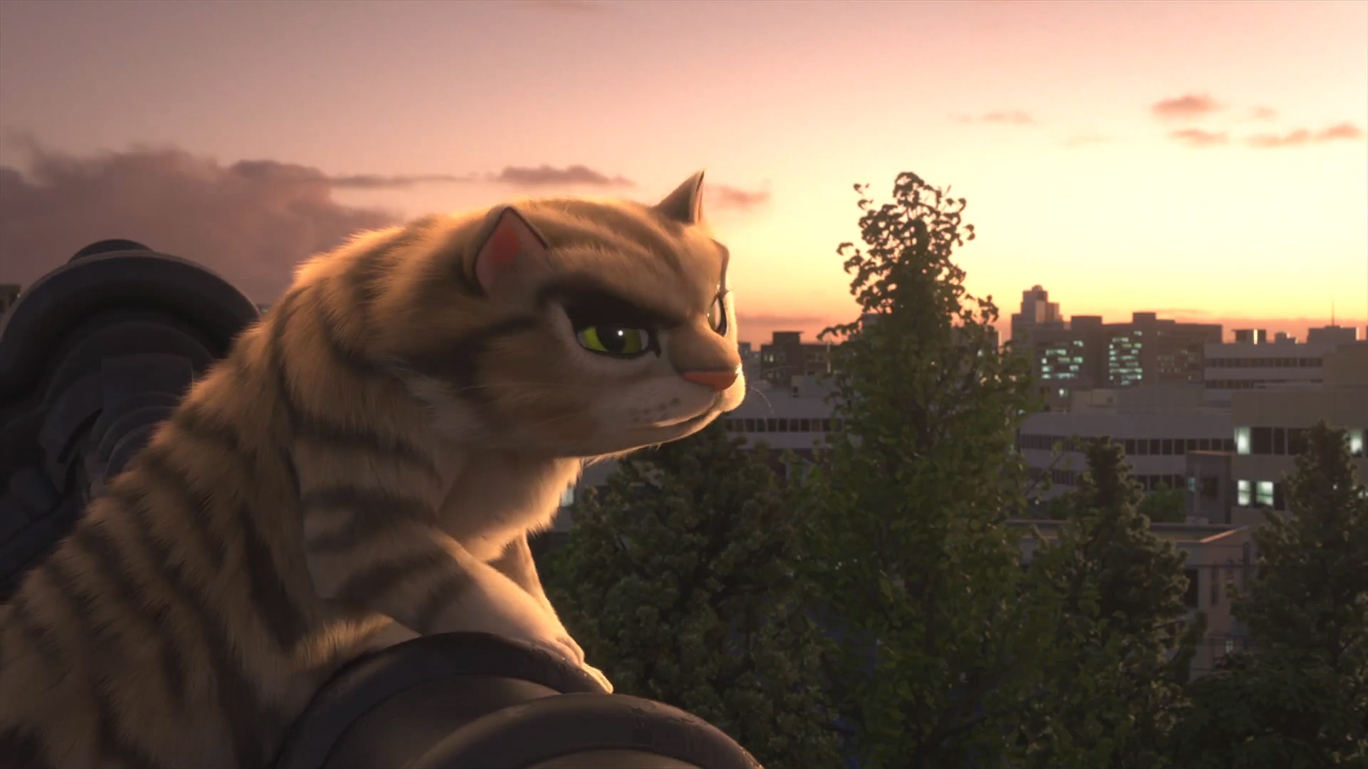 Огромный городской кот. Кот ест с удовольствием. Кот переел. Кошка и роллы. Котик с едой.