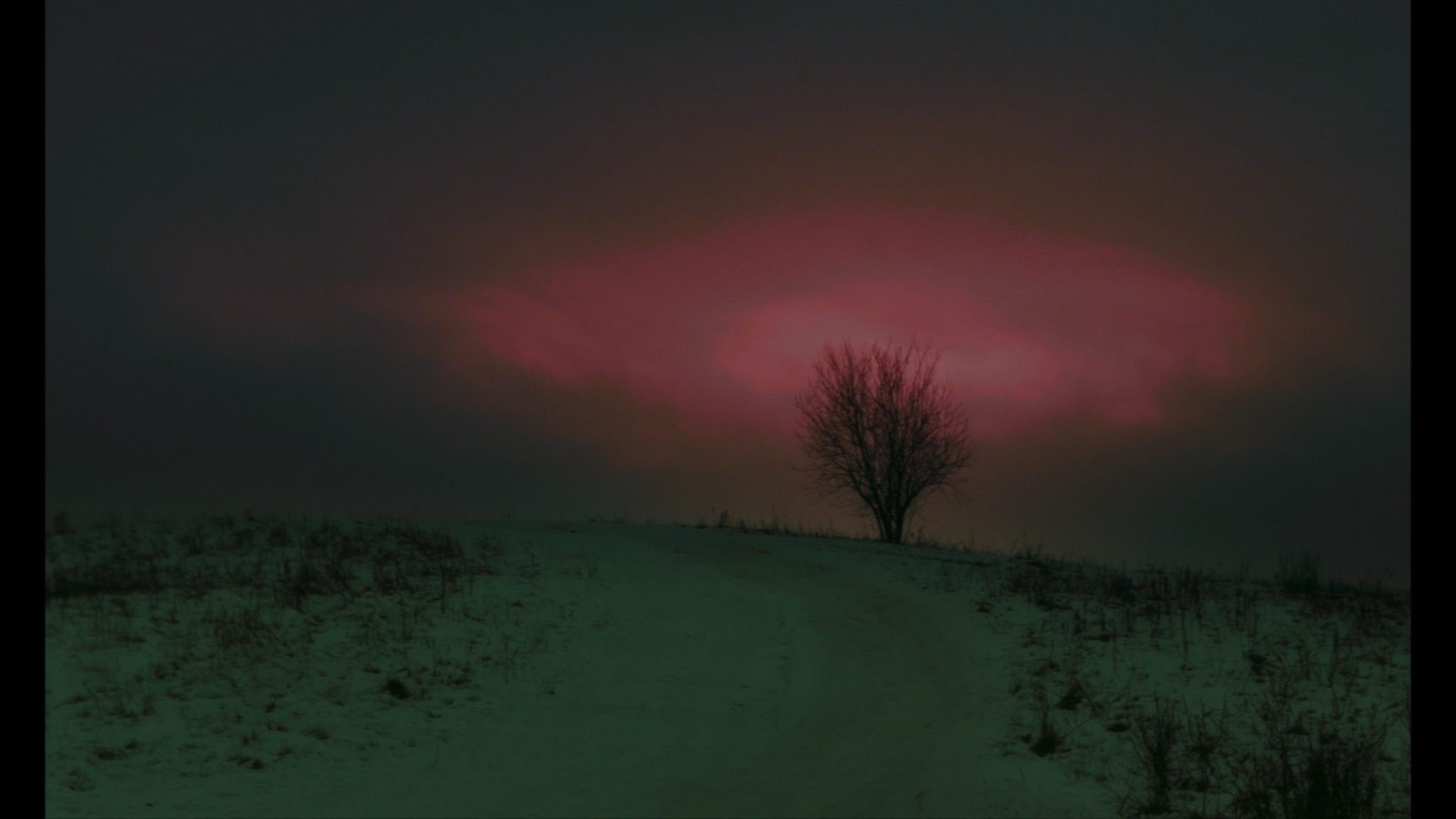 shnit worldwide shortsfestival. Программа «Best of Made in Russia» – афиша