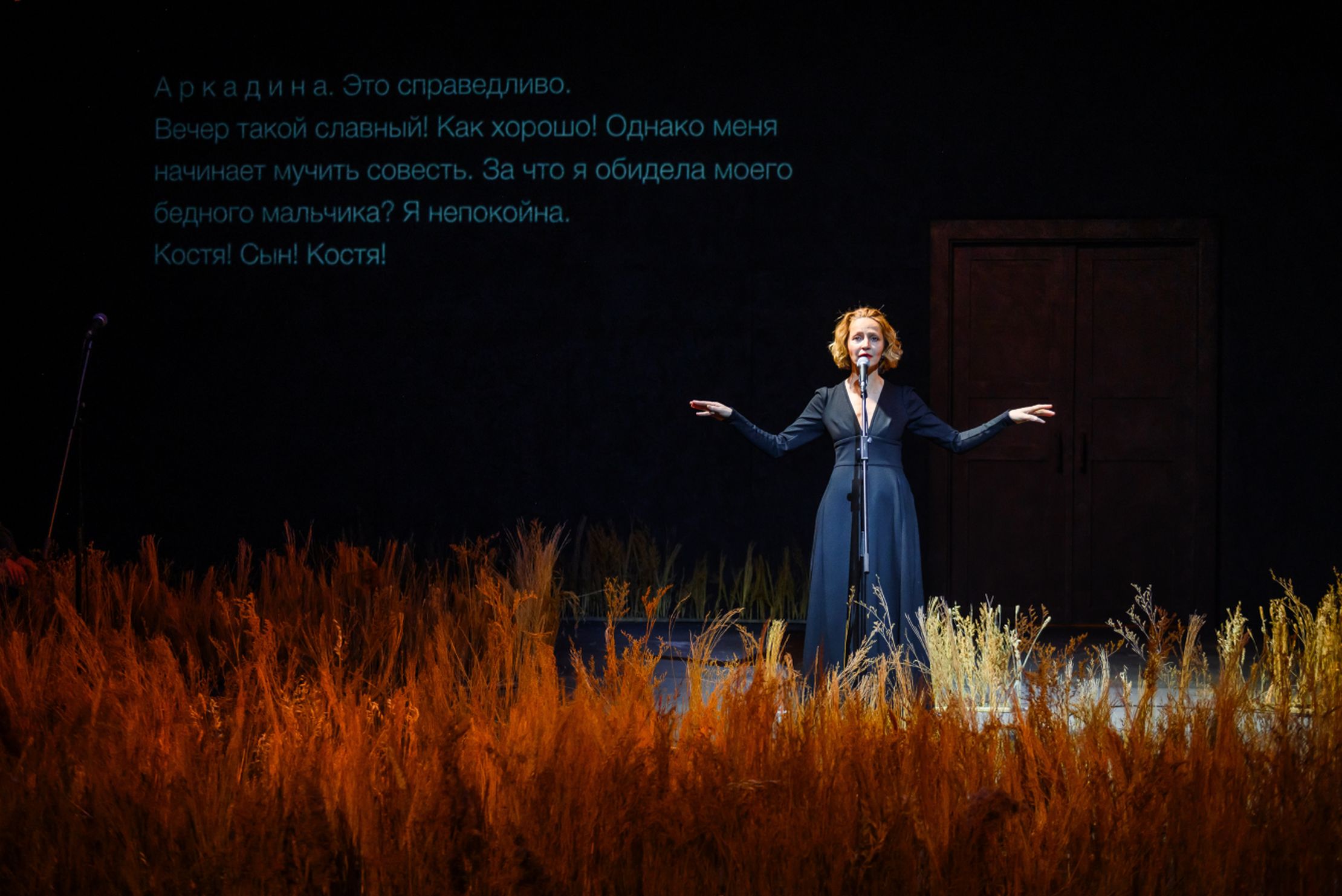 Чайка – афиша