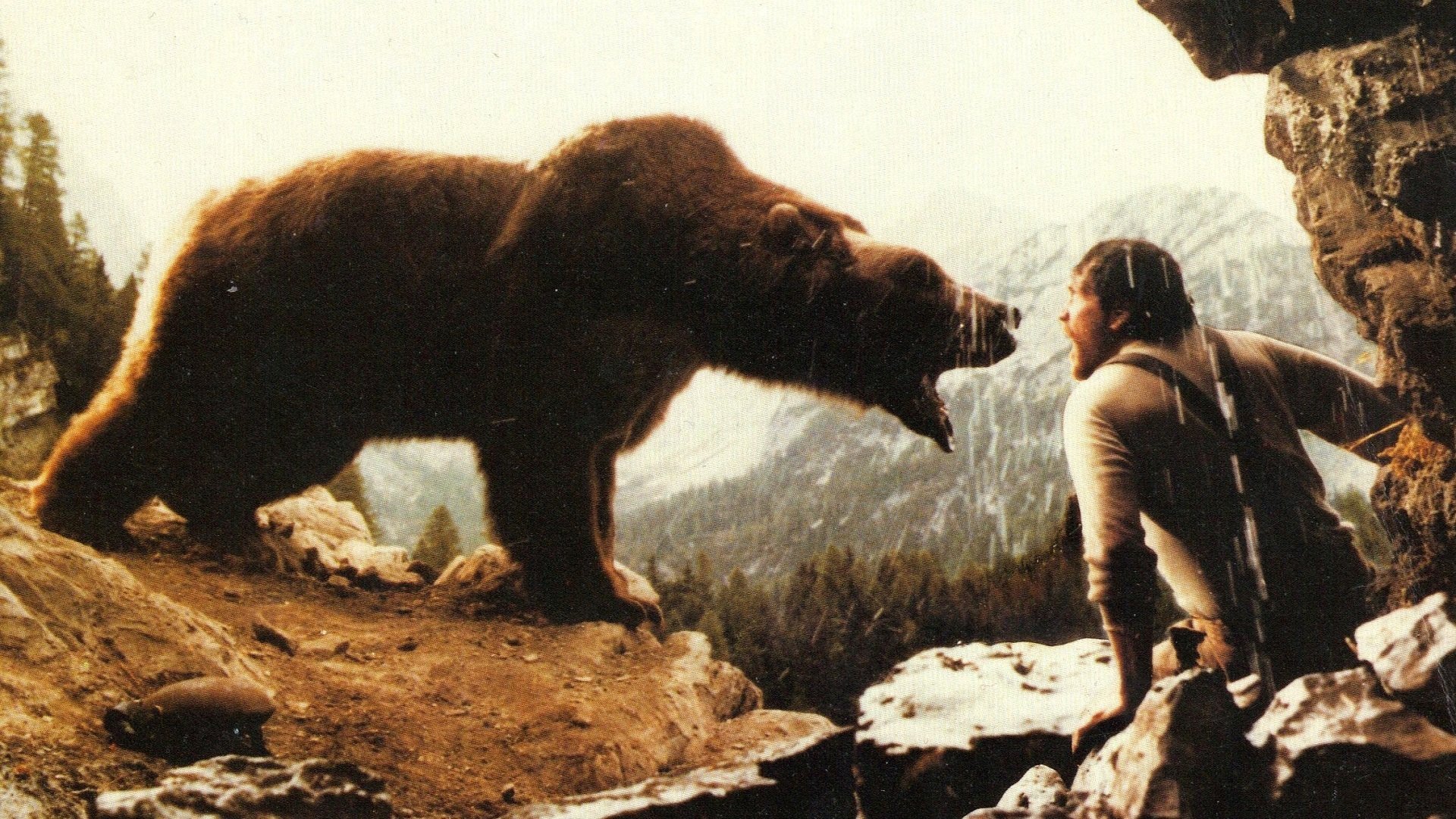 Медведь – афиша