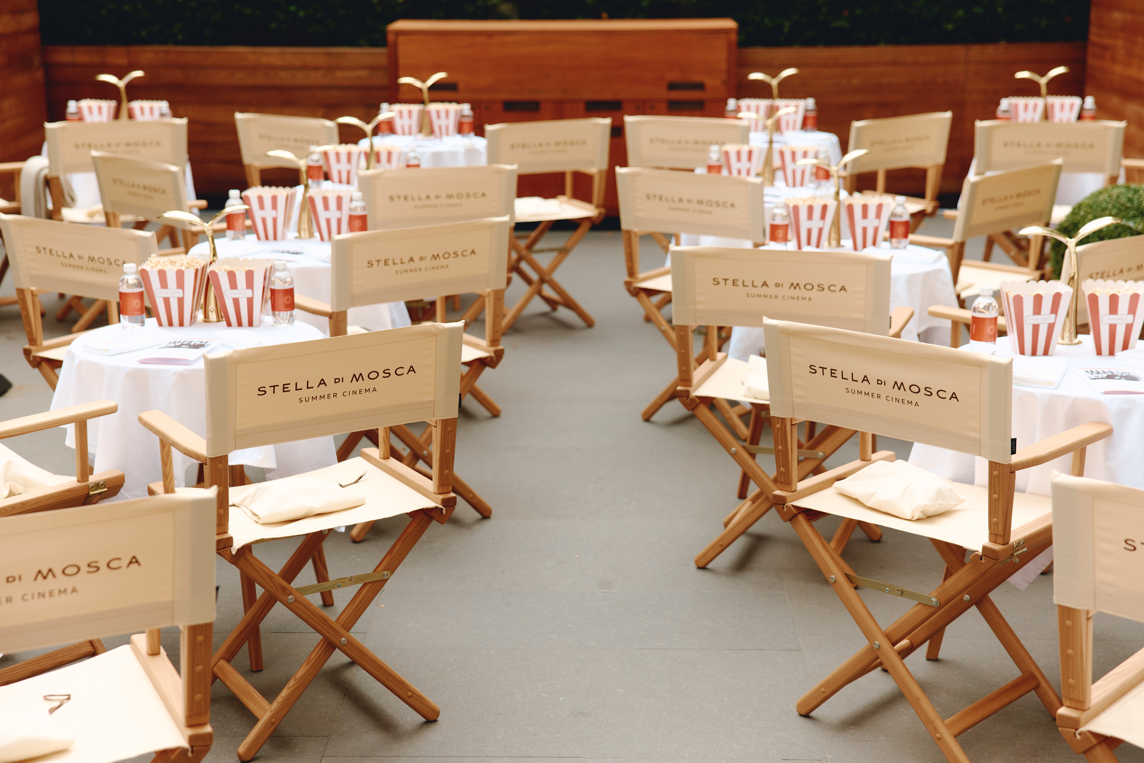 Stella di Mosca Summer Cinema – афиша