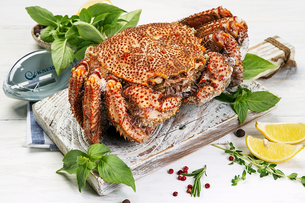 Клешня – афиша