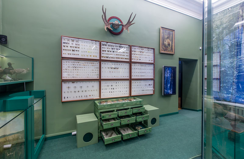 Зал природы в Тульском краеведческом музее – афиша