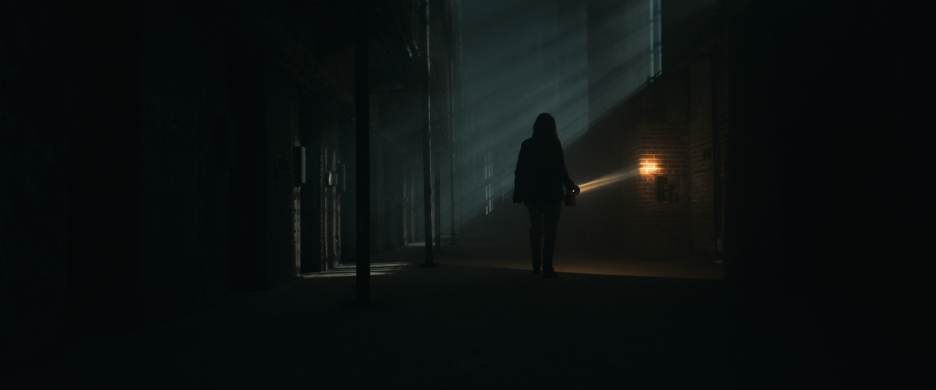 Шелби-Оукс. Город-призрак – афиша