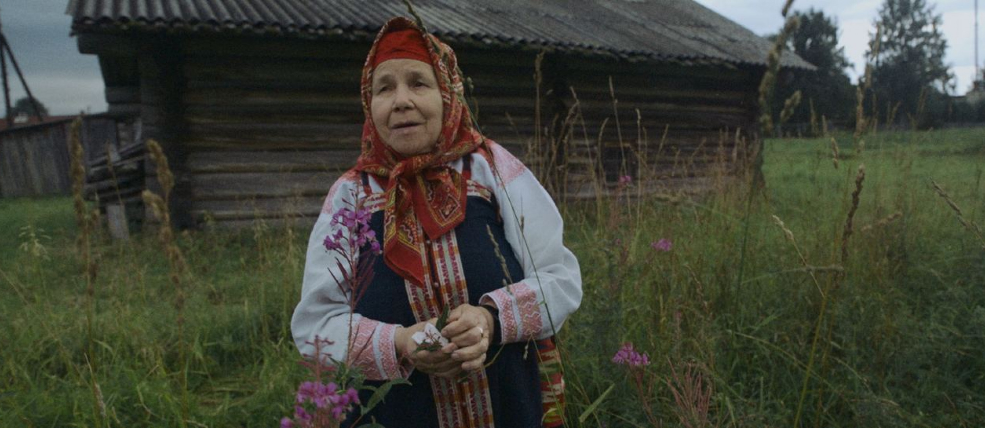 Программа «Базис» – афиша