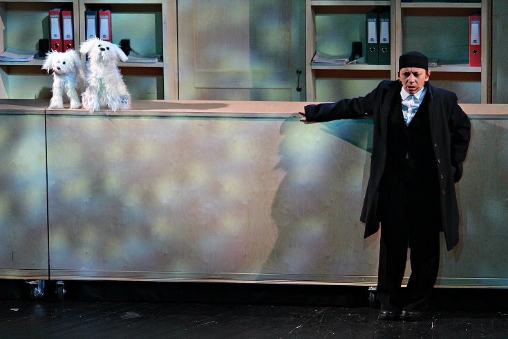 Записки сумасшедшего – афиша