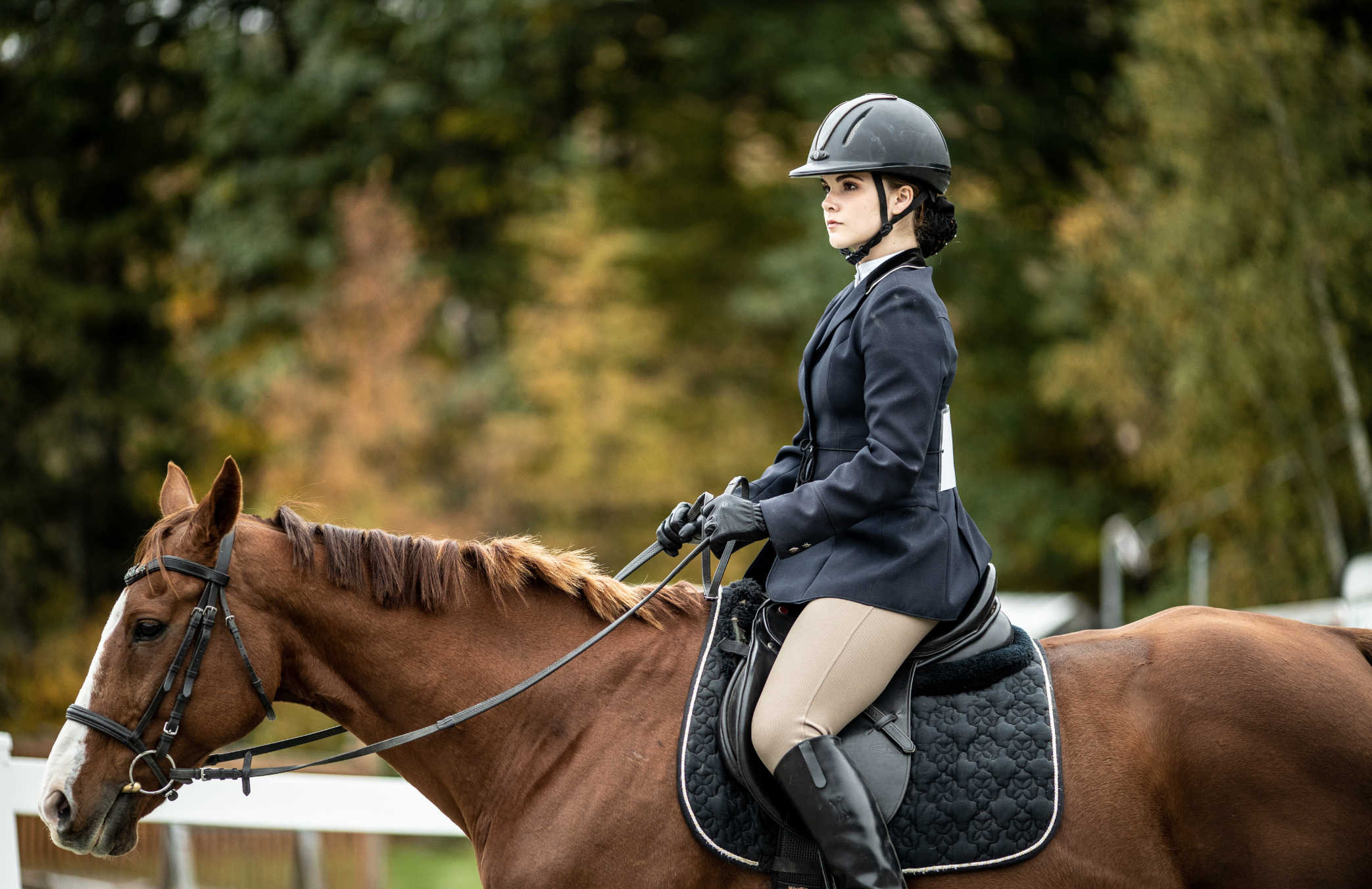 Галопом к мечте – афиша