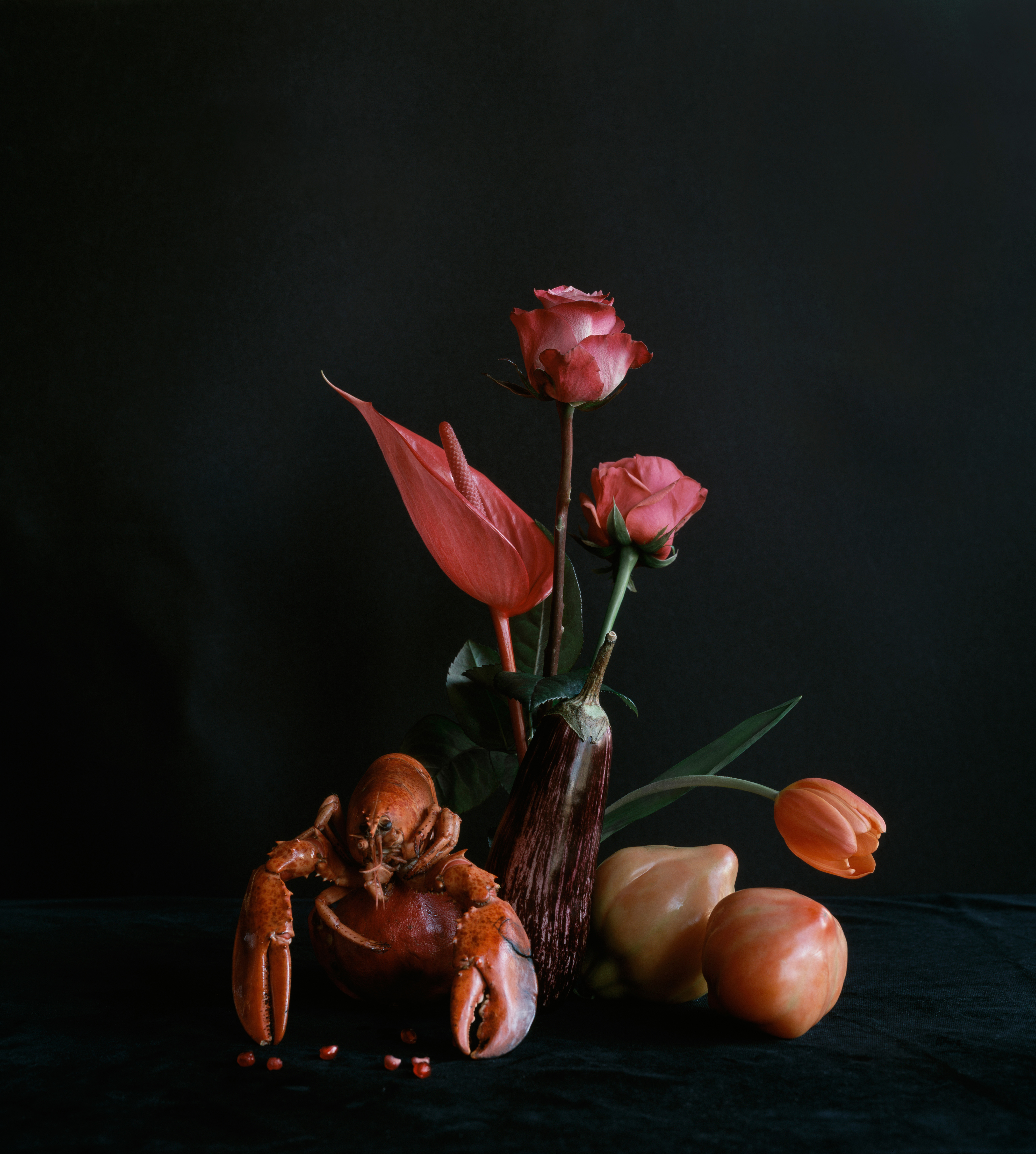 Корнели Толленс. Deep Inside – афиша