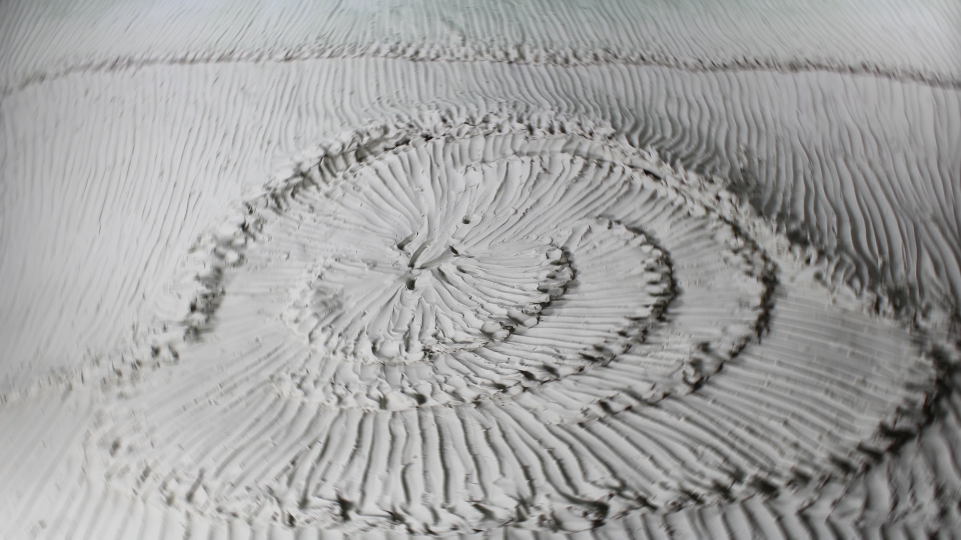 Новая Япония – афиша