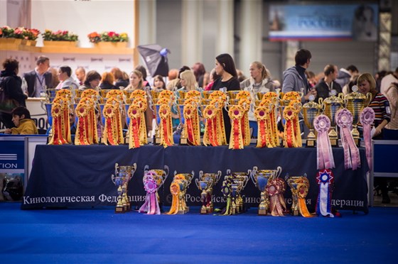 XXII Интернациональная выставка собак всех пород «Россия-2015» – афиша