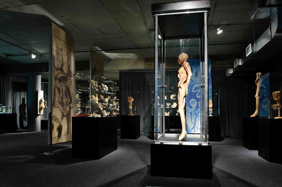 Музей человеческого тела на карте