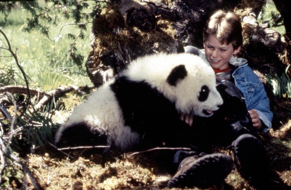 Удивительные приключения панды – афиша