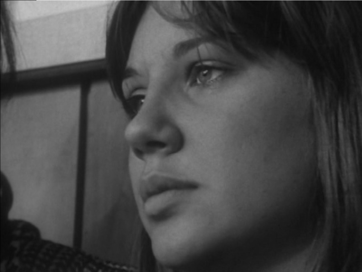 Варрендейл – афиша