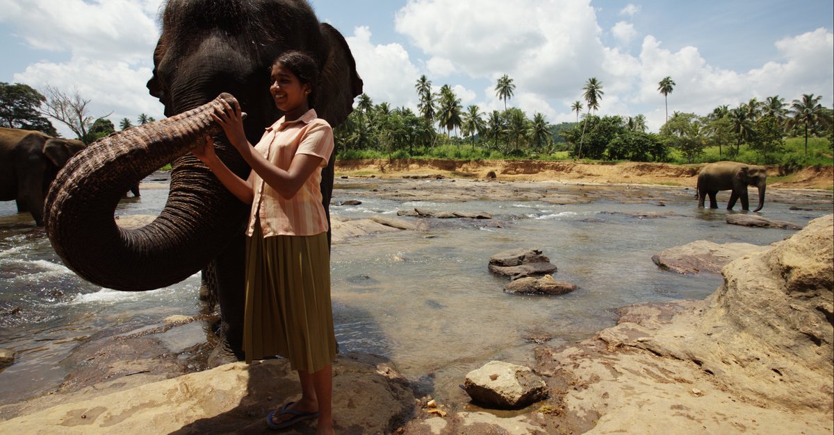Чандани и ее слон – афиша
